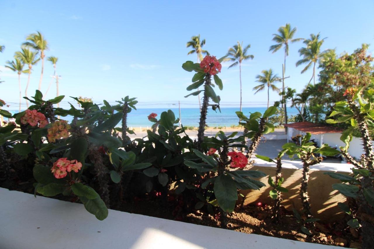 Albachiara Hotel - Las Terrenas Ngoại thất bức ảnh